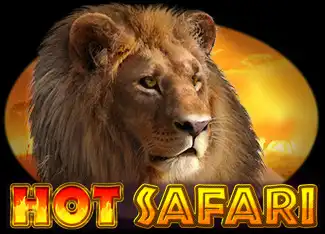 Hot Safari